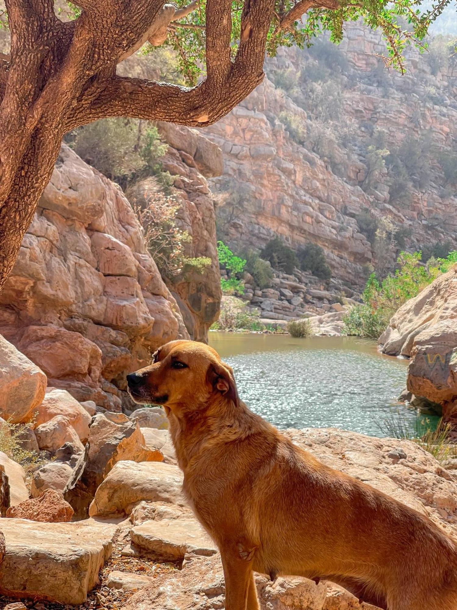 Tifrit Maison D'Hotes-Paradise Valley Imouzzer Ida Ou Tanane Esterno foto